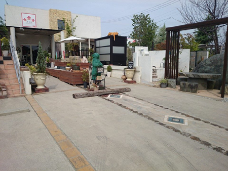 さくら様(橋本造園)