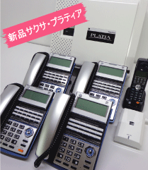 �T�N�T�@�v���e�B�A�@4�F1